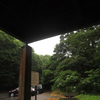 あずま屋のベンチで休憩