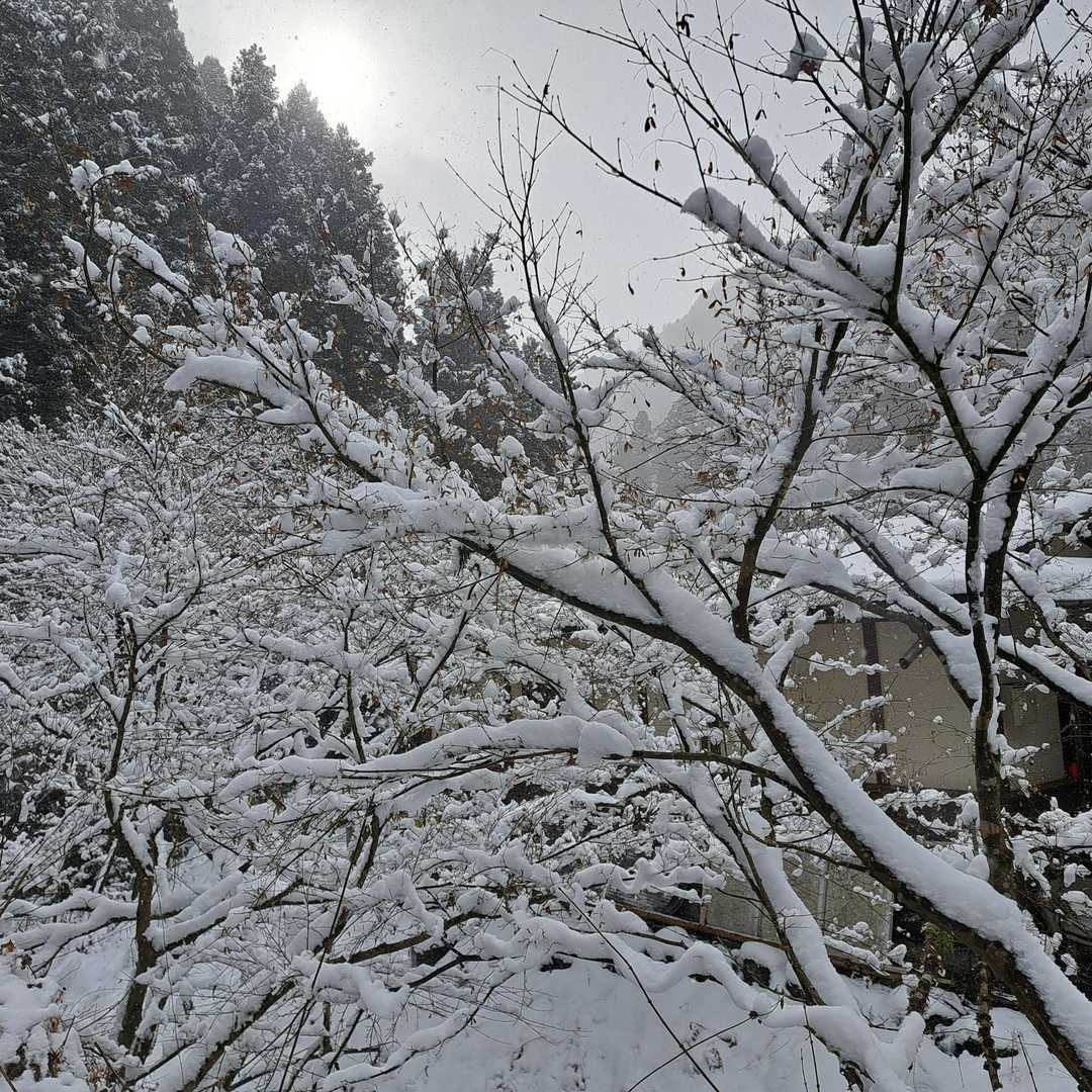 貴船口まではグレーの世界でした