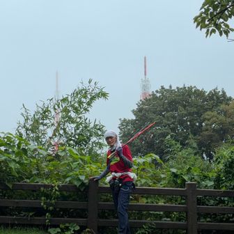 城山三角点、雨上がった