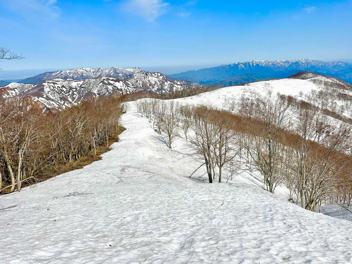 振り返って。大倉山と菅名岳　奥に五頭山🙄
手前は日倉山とマンダロク山