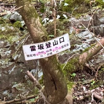 やっと見つけた登山口🥾
国見岳まで4h40分？健脚じゃ！