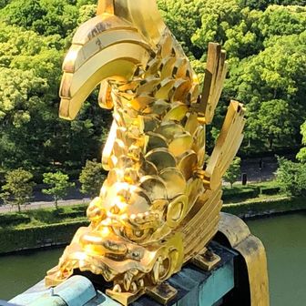 ぱぶろふ
