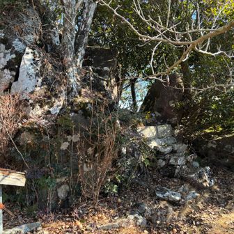 帰ろうとしてふと気づく
奥へ行けば眺望あるかな？