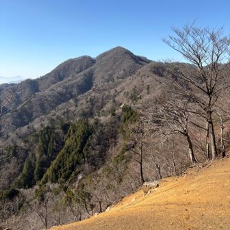 善六山の山頂は広くて見晴らしが良いです。