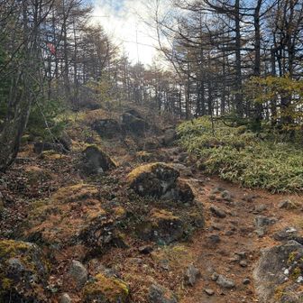 いよいよ登山道へ♪