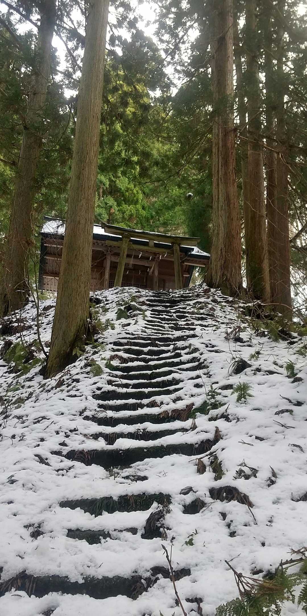 登山の安全を祈る🙏
