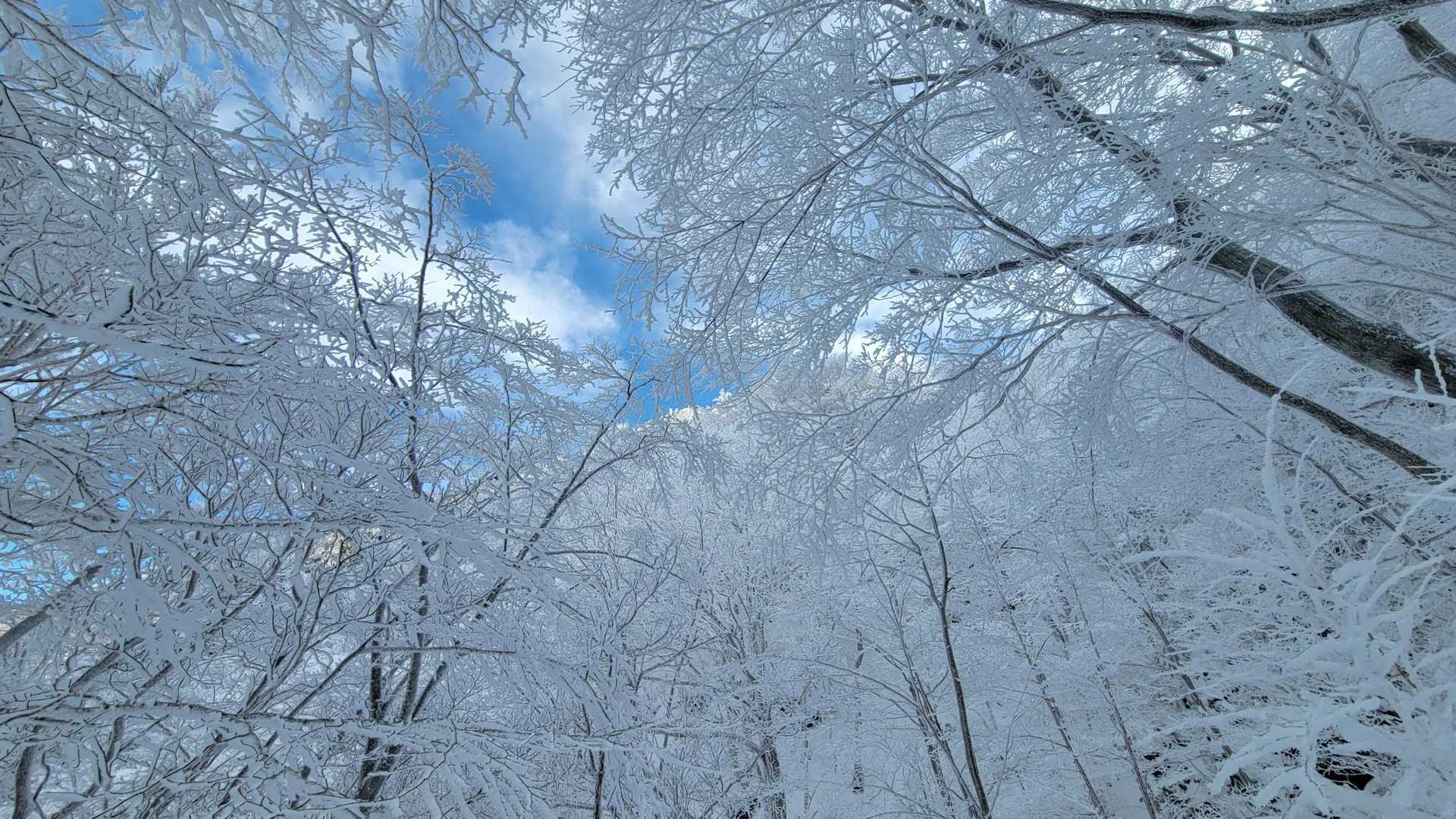 (  ˶¯ ꒳¯˵)♡