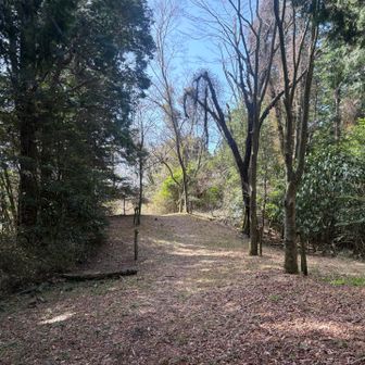 大平山山頂
特に標識なし