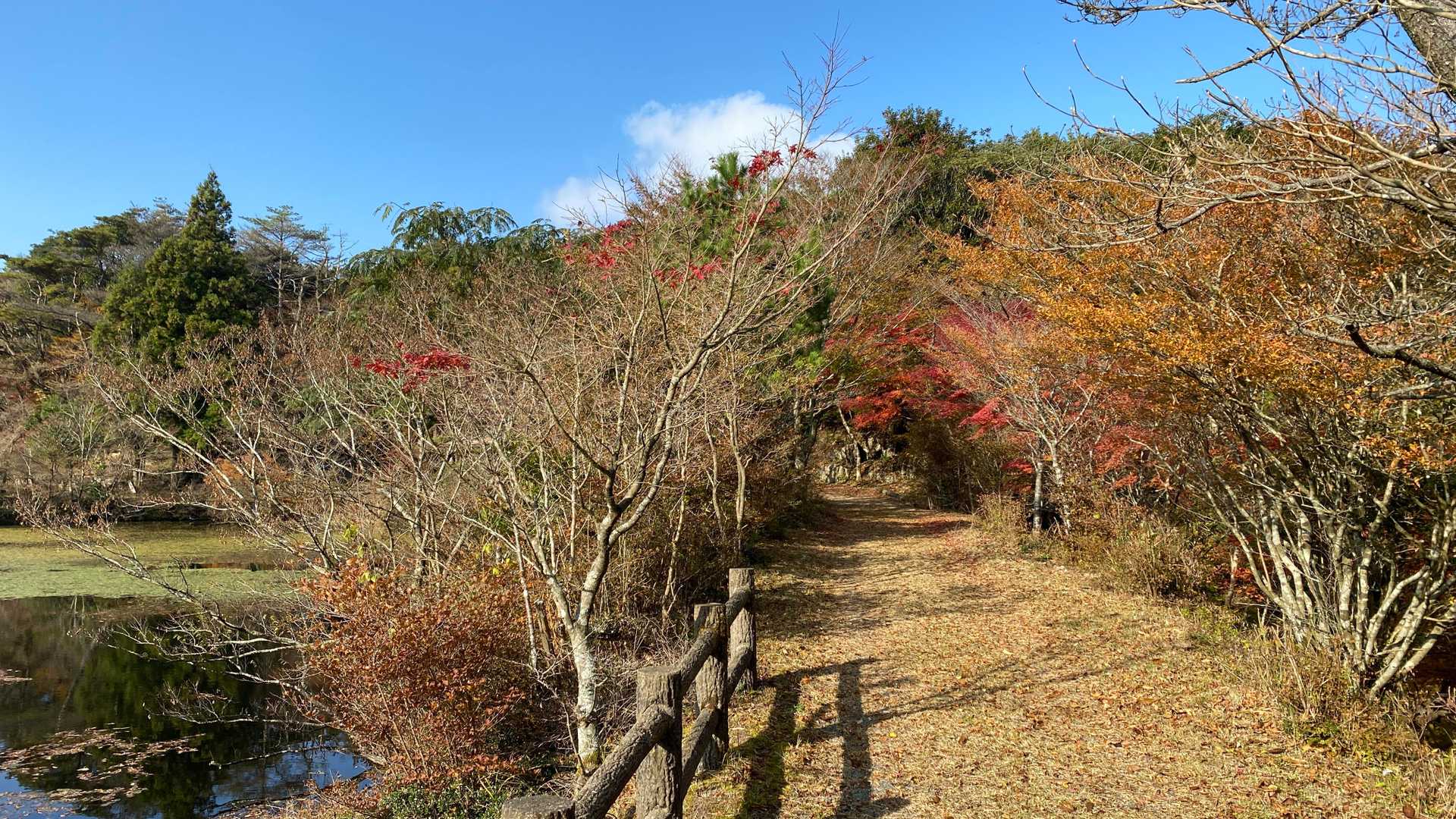作礼山登山口-作礼山 往復コースの写真