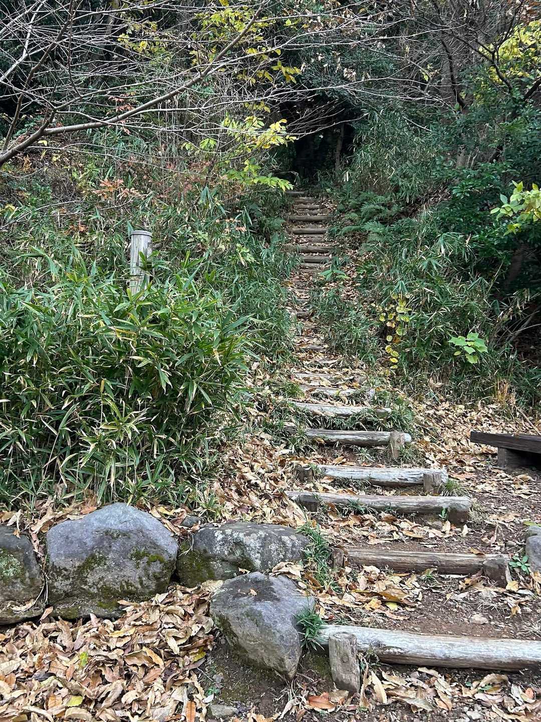 山頂まで階段が続くのかなぁ〜😅