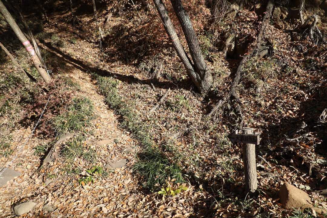 山道へ入って行く