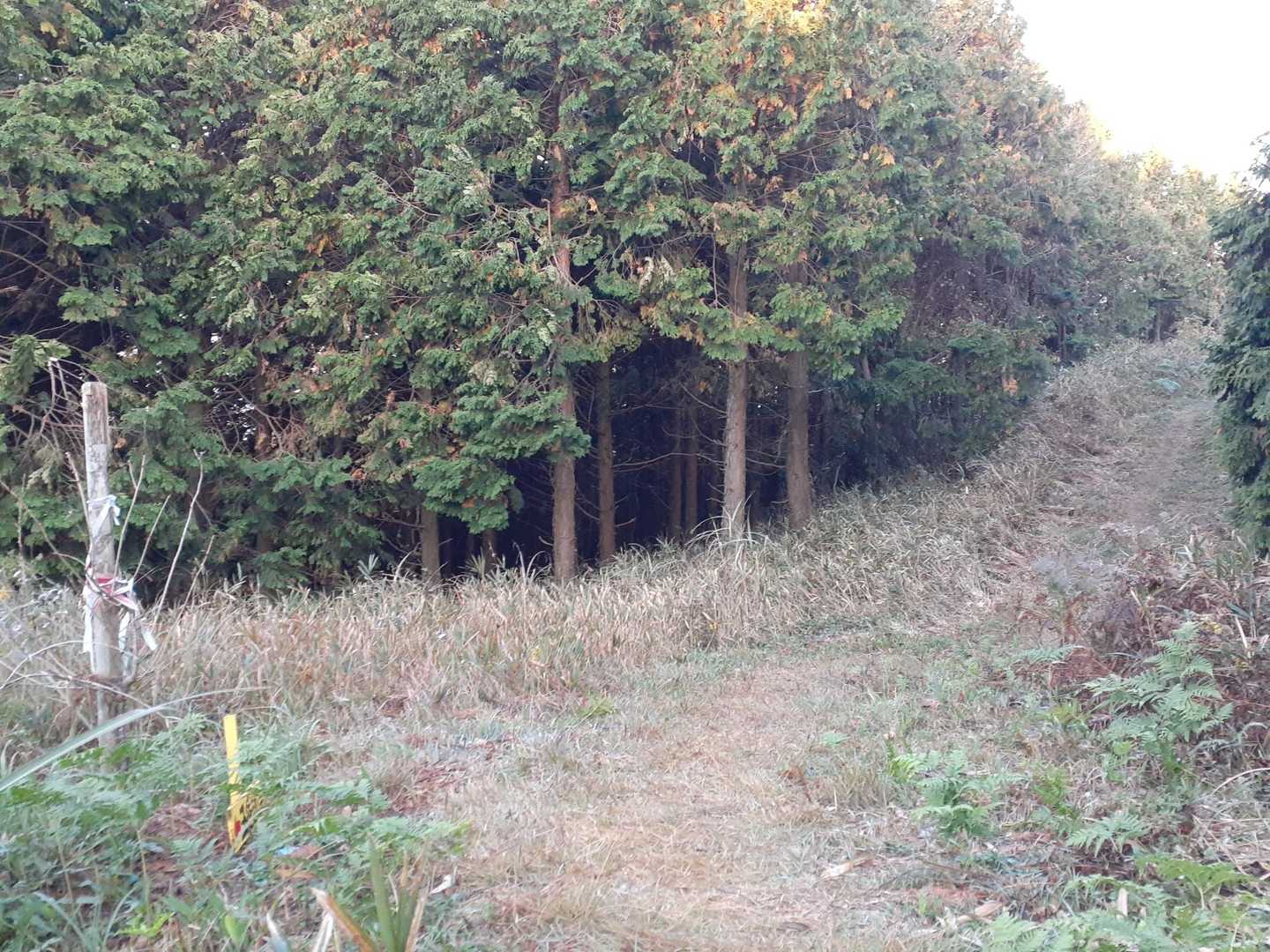 磁石山周回コースとの分岐ですね↔️