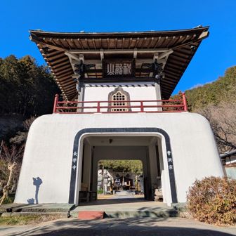 レポートで見たことのある珍しい造りの山門。竜宮門形式とのことで、外壁は白漆喰で仕上げられています。美しいですね。
横から撮らなかったので、肝心な梵鐘(群馬県指定重要文化財)の写真はありません😅