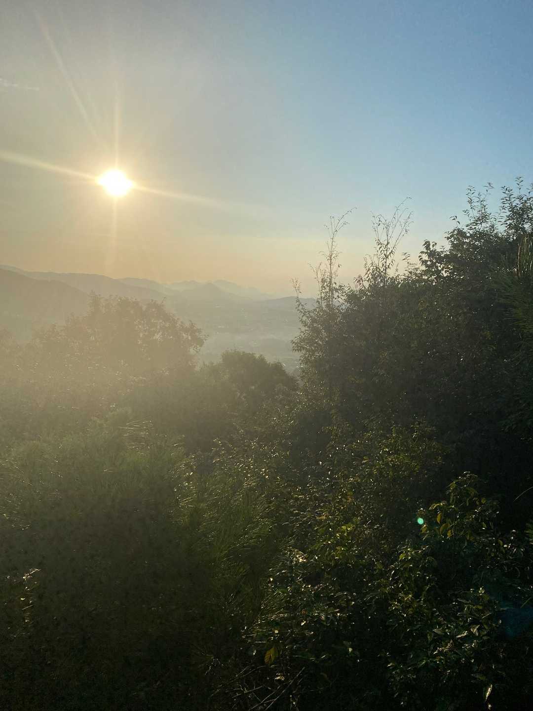 大谷山-滝谷山-雁又山 往復コースの写真