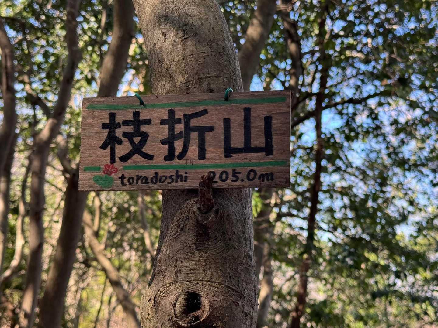 枝折山⛰しおりやま