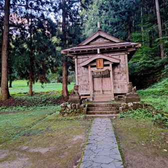 今日は明るい鳥坂神社