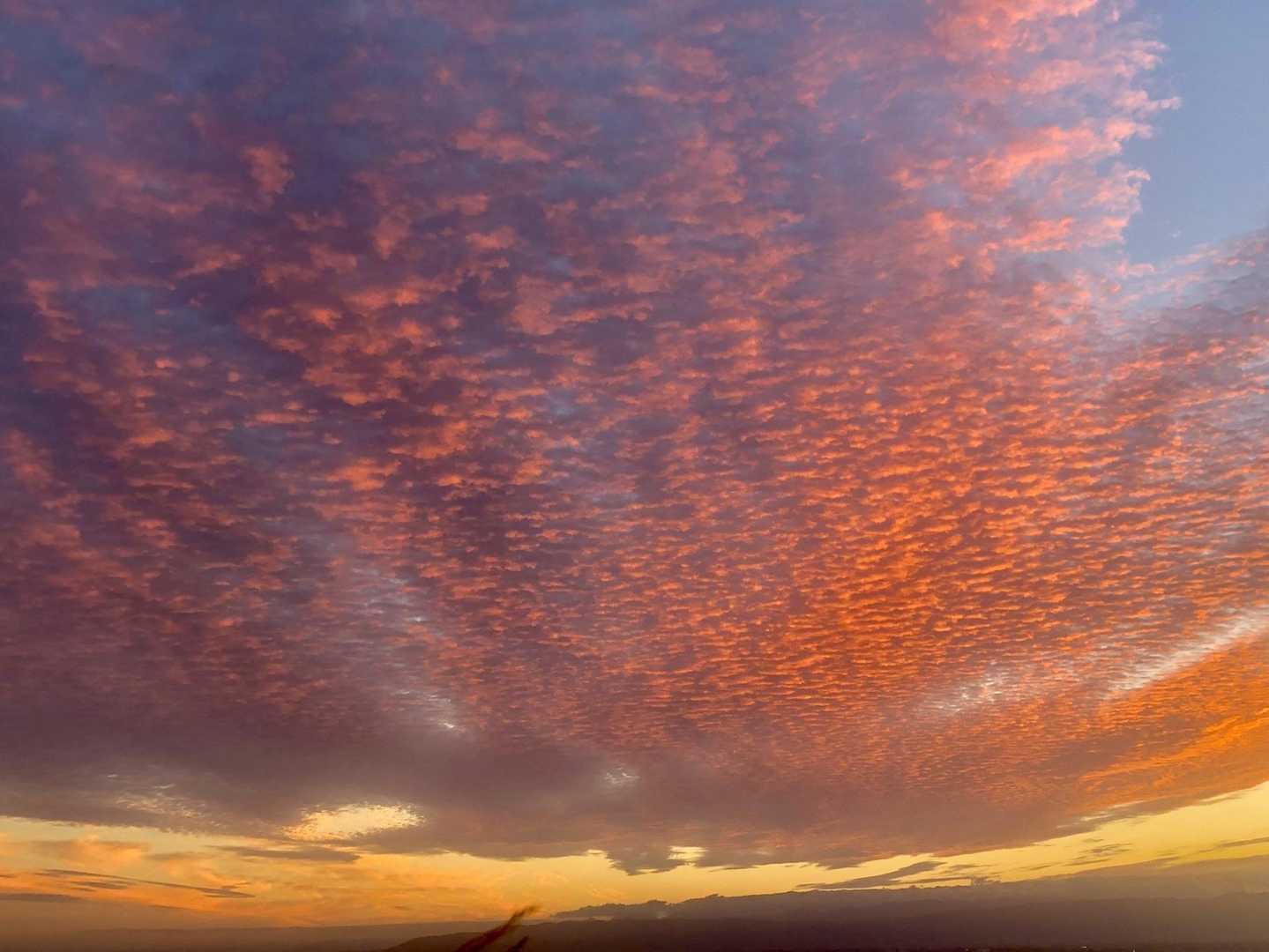 凄い❗️茜色に染まる、うろこ雲。
ここで見る👀のは初めてです。