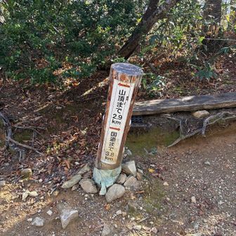 思ったより近くに感じた