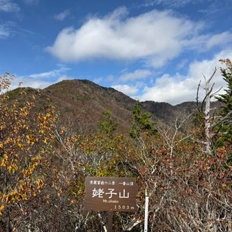 雁ヶ腹摺山＠姥子山