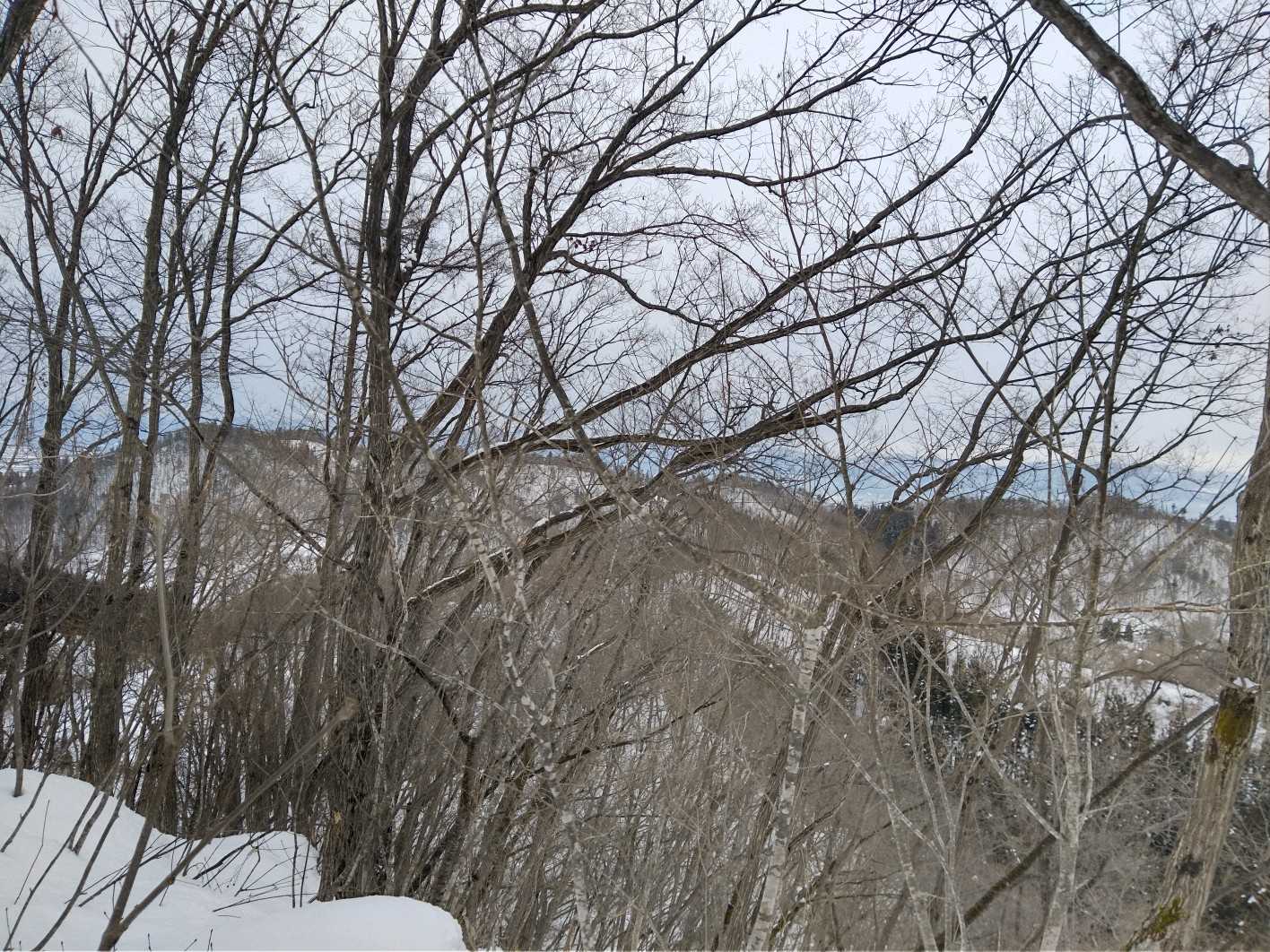平野山が見えます