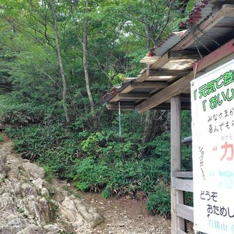 試しの鎖を超えた場所に茶屋
前社ヶ森売店、開いてました