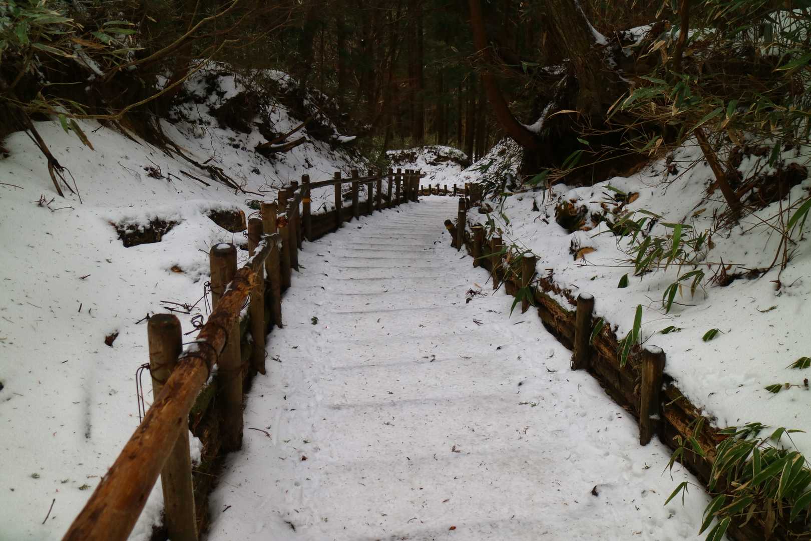 15. 金剛山の写真