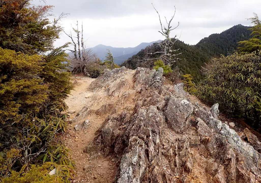 大山の写真