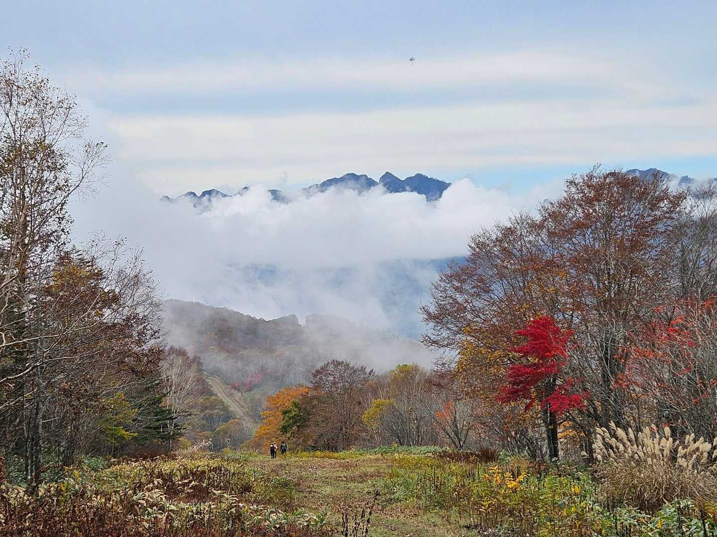 瑪瑙山 周回コースの写真