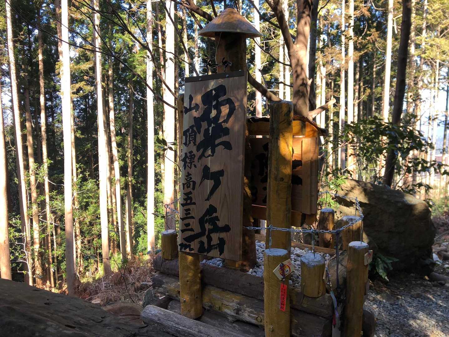 あっという間に山頂でした！
