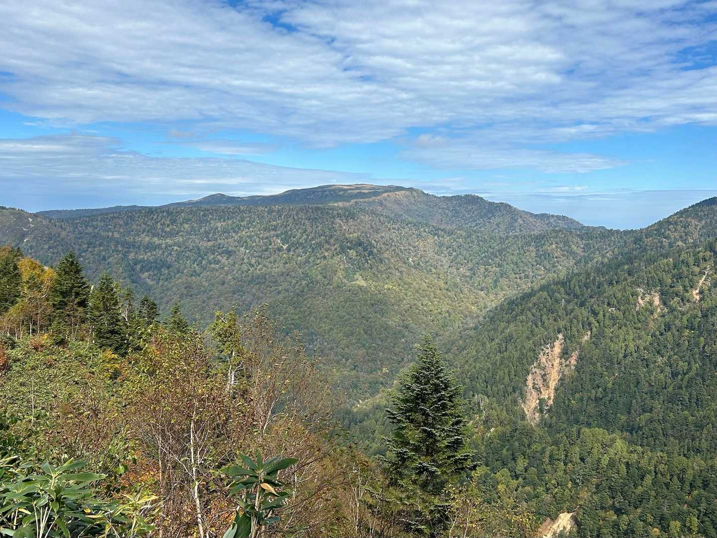 苗場山も最後に歩いたのは20年以上前。
ここ数年「楽しみにとってある赤湯コースを」と考えはするのだが「静かな山へ」の本能に負け後回しに
