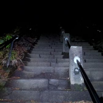 登りか下りかもうわからんて
（登り）