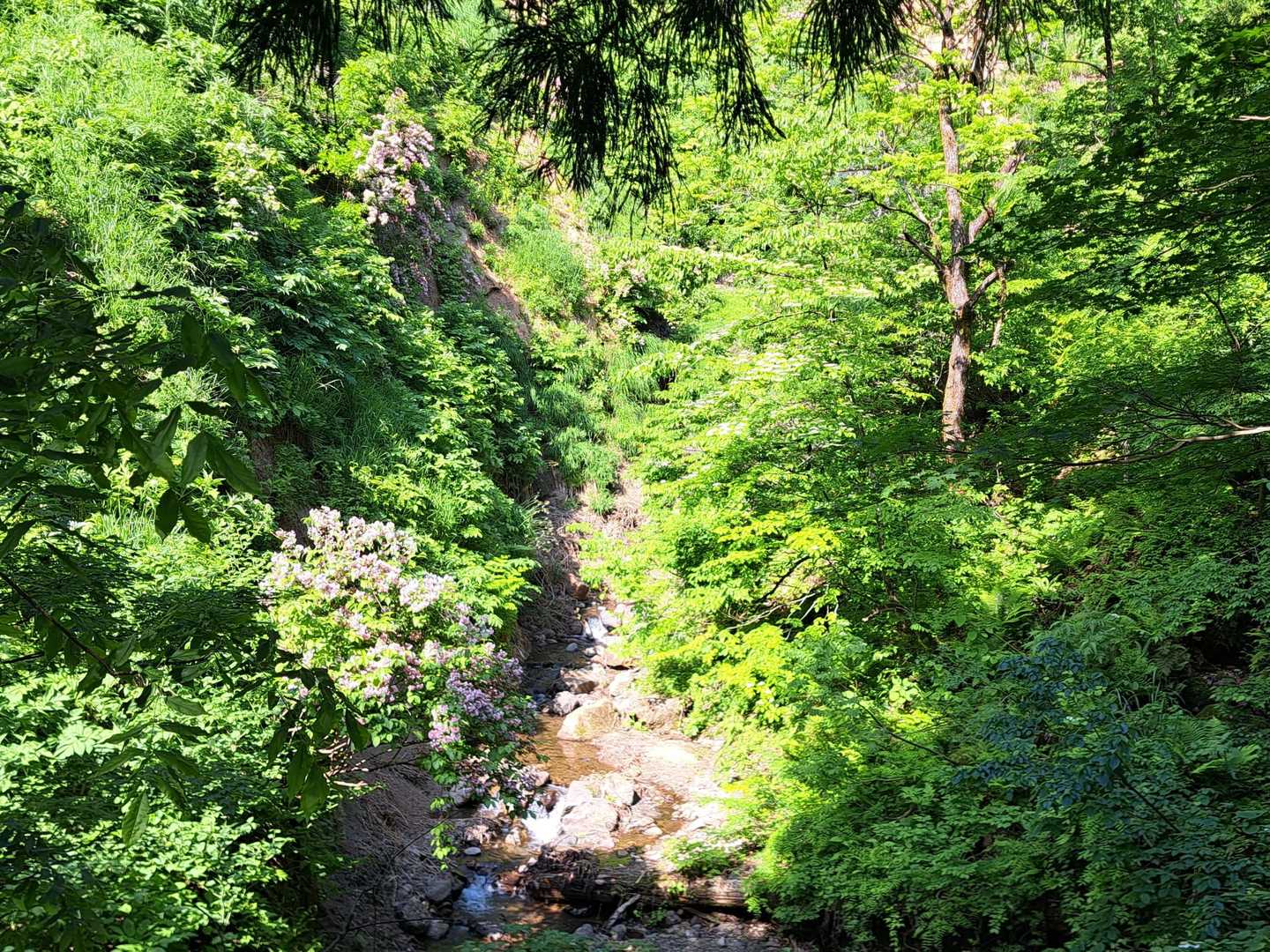 花立コース登山口-鋸山 往復コースの写真