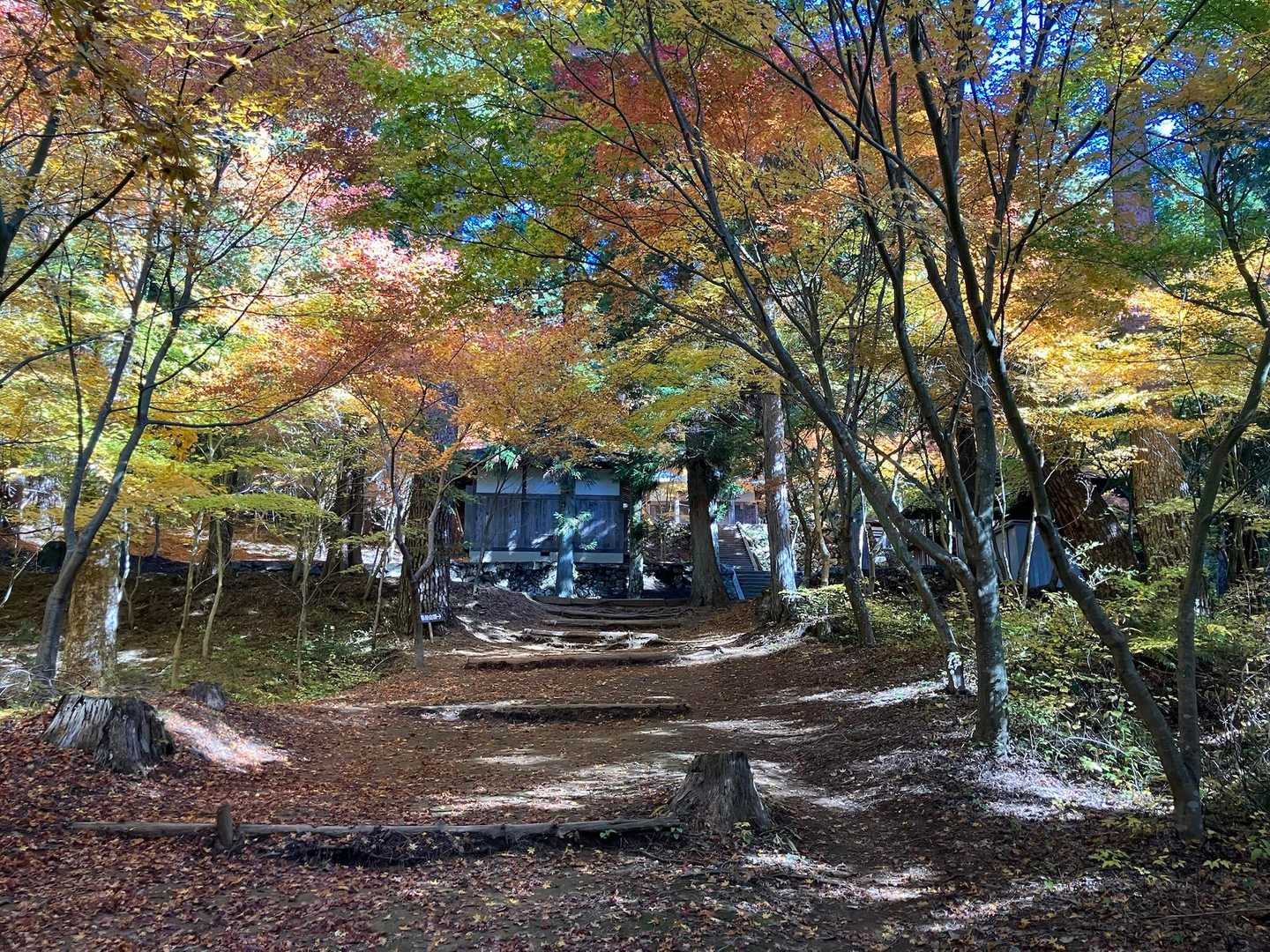 高鳥谷神社参道入口-高鳥谷神社-高烏谷神社 奥社-高烏谷山 往復コースの写真