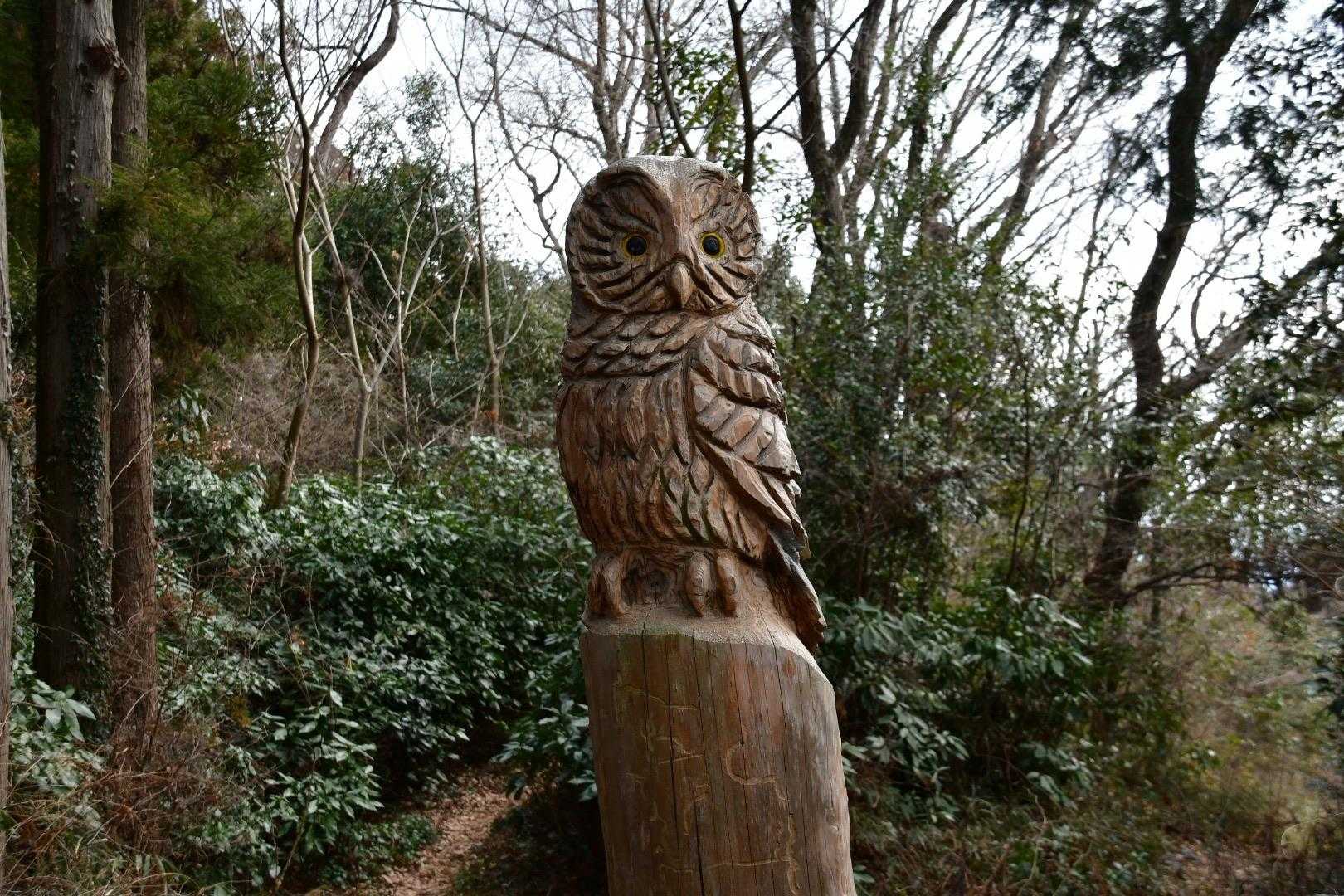 木彫りのフクロウ🦉