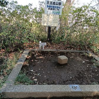 多摩市最標高点161m