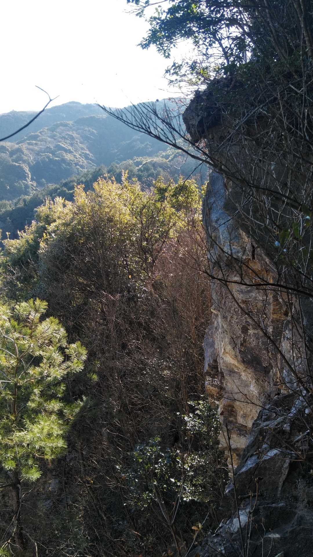 採石場跡の崖近くは危険⚠️です