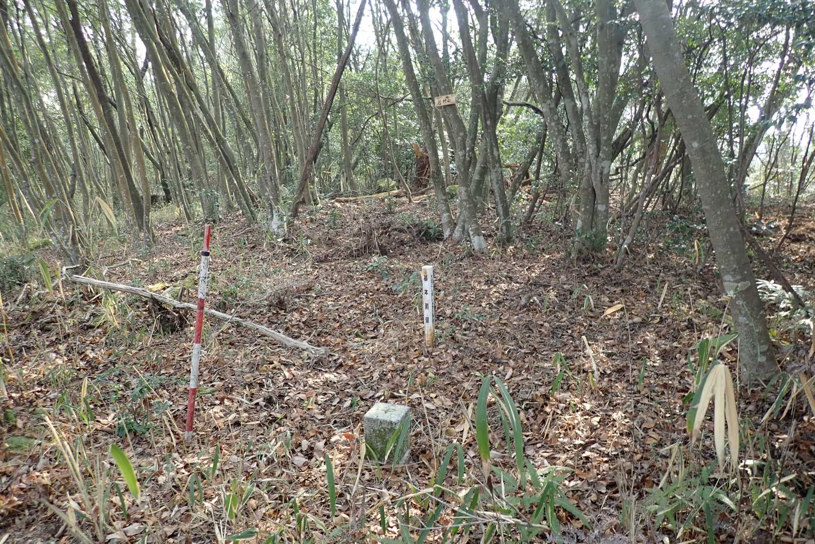 GPSと地理院地図の破線を頼りになんとか三角点到着。