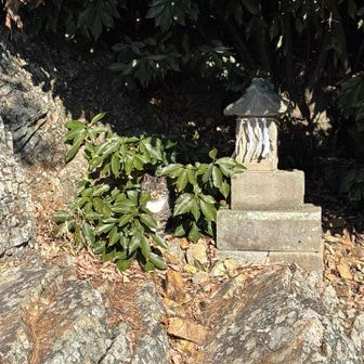 振り返って帰ろうとしたら、こんな所にもニャンコさん🐈‍⬛