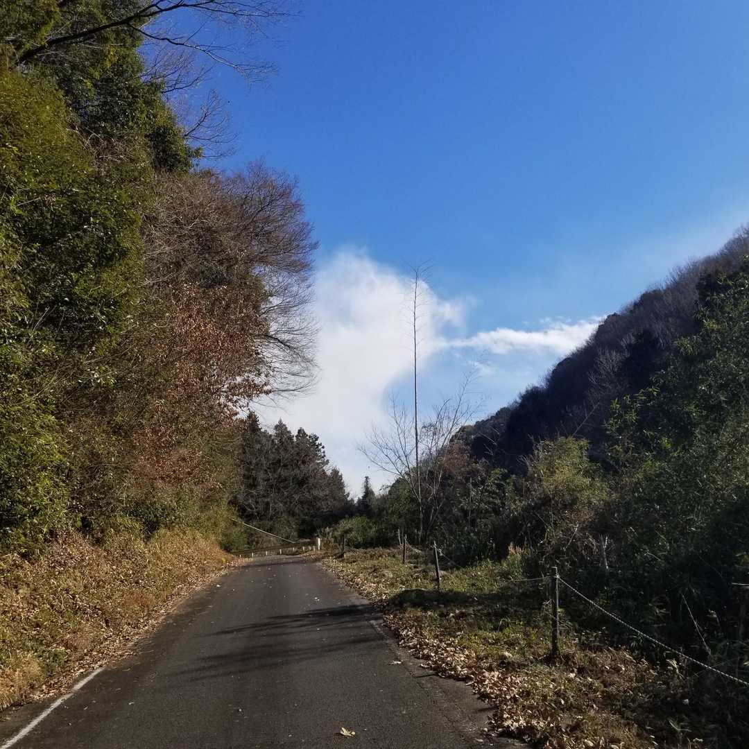 大谷山展望台入り口-大谷山 往復コースの写真