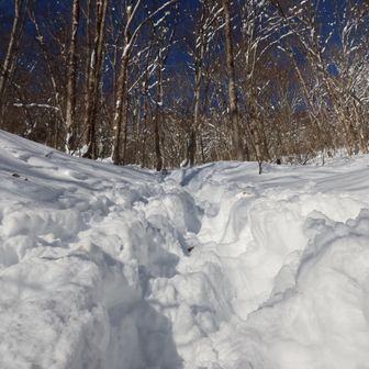 いきなりの急登、しばらくはツボ足にて行きます
トレース感謝です