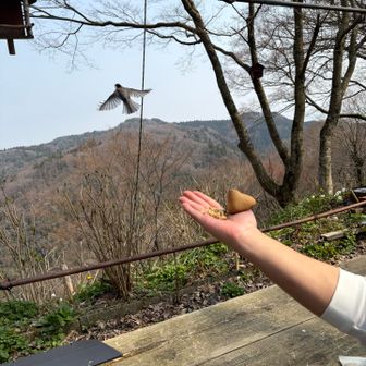 ナッツ🥜と一緒に

銘菓ひよこ🐤を
置いてみたら。。。

。。。
