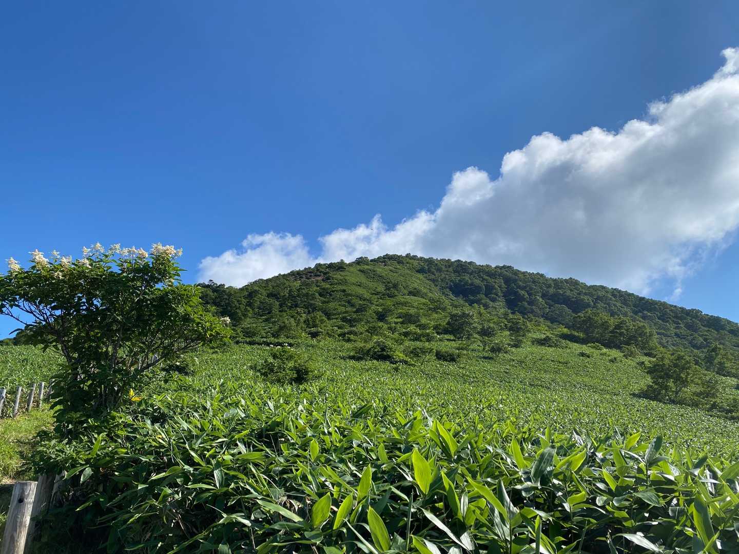 三国山見えました