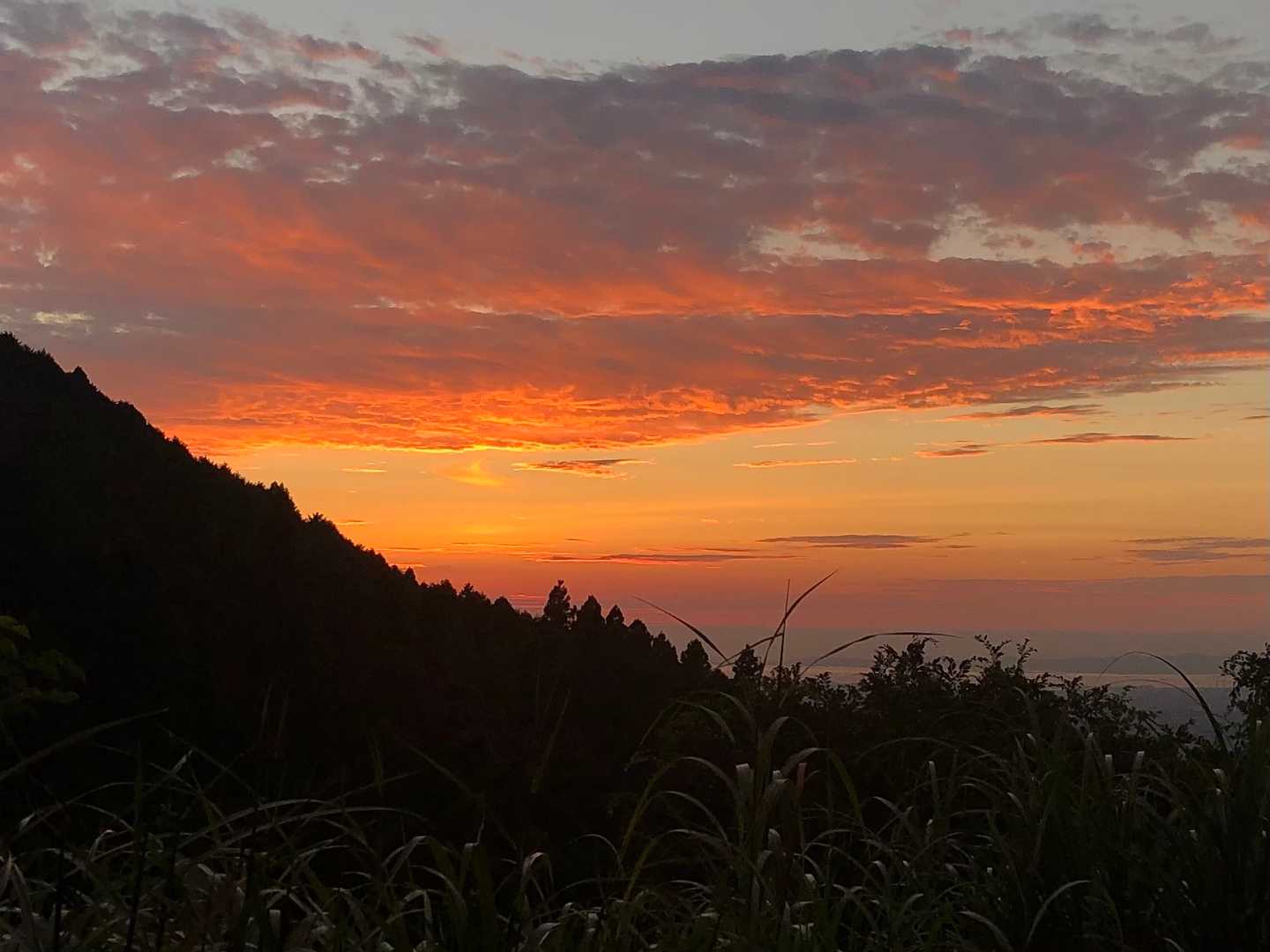 今日は綺麗な夕焼けで少しの間、立ち止まって見てました😃