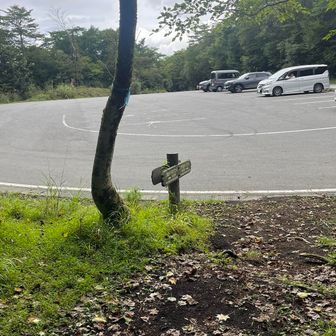 下りも踏み跡がよくわからず適当に下ってスタート地点に到着
