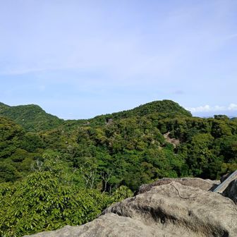 登りきって