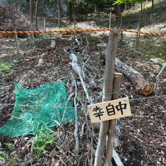 幸自中？もしかして工事中てこと⁉︎