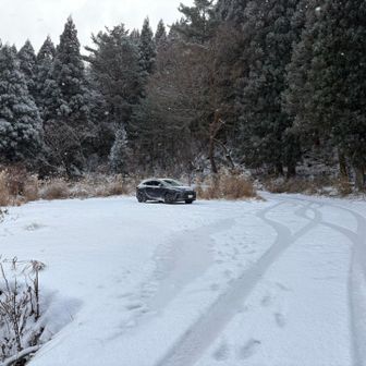 ぼっち登山でした😆