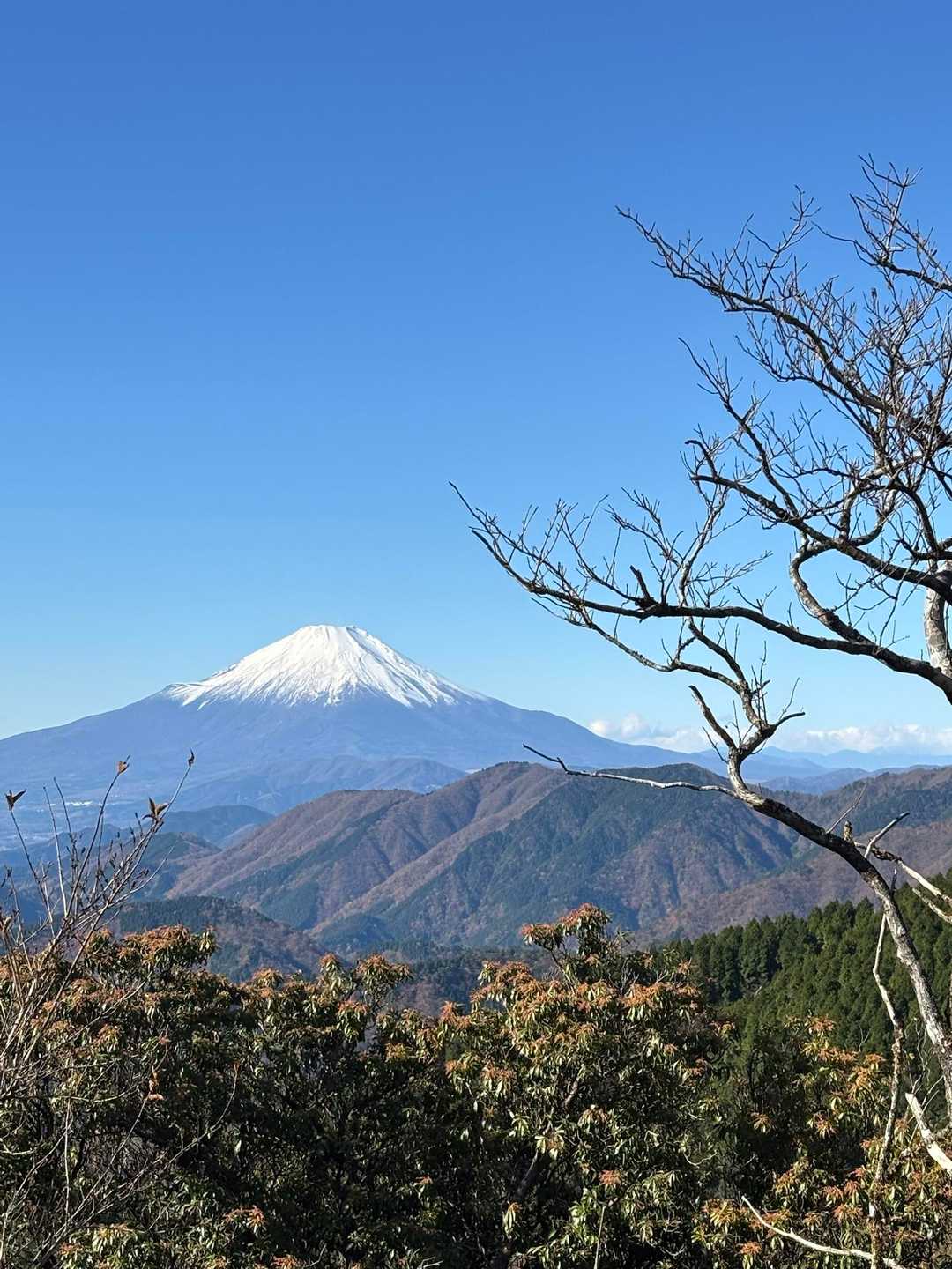 表尾根縦走コース登り口-三ノ塔 往復コースの写真