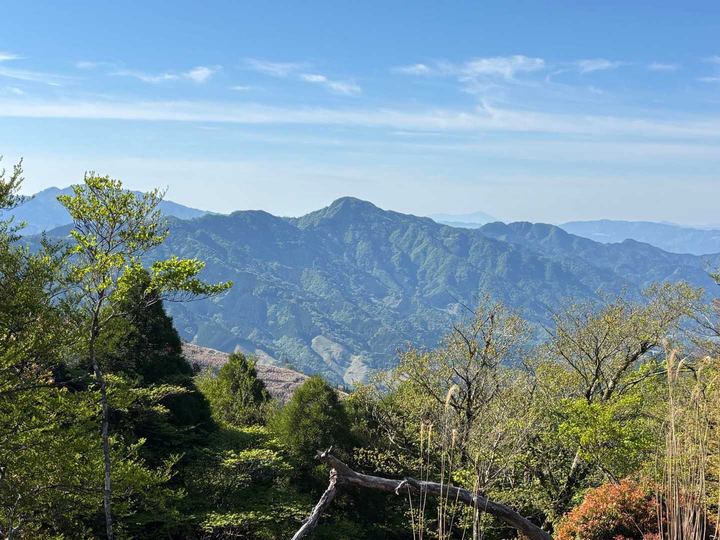 あー✨✨きれいだ🌿