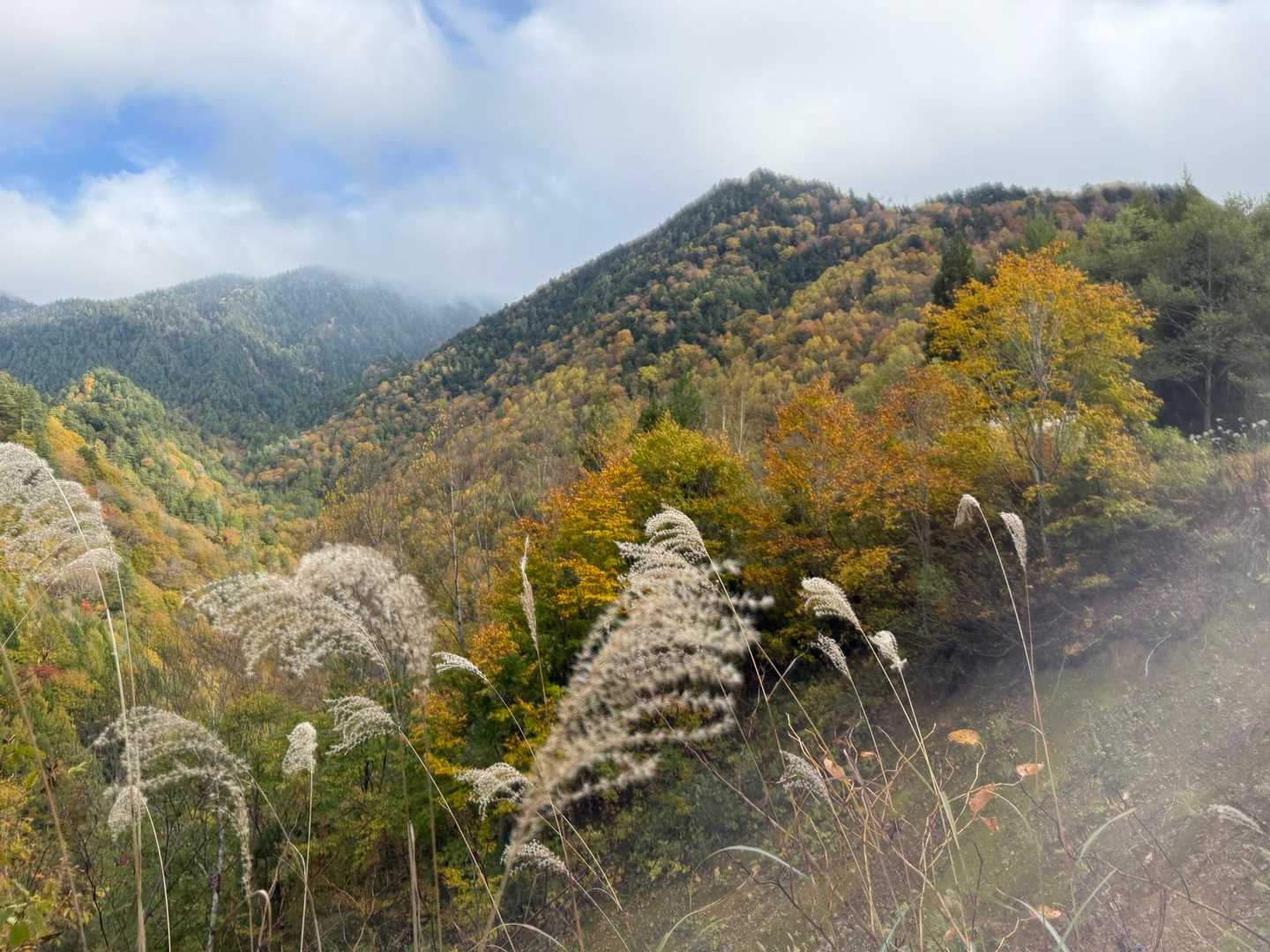 渡渉を終えて山頂方面に目をやるけど、やはり上の方はガスってます。山の奥の奥にたおやかにある山頂なのでこの辺りからも目視するのは難しいでしょうか。苗場山と白砂山からは見えます👀